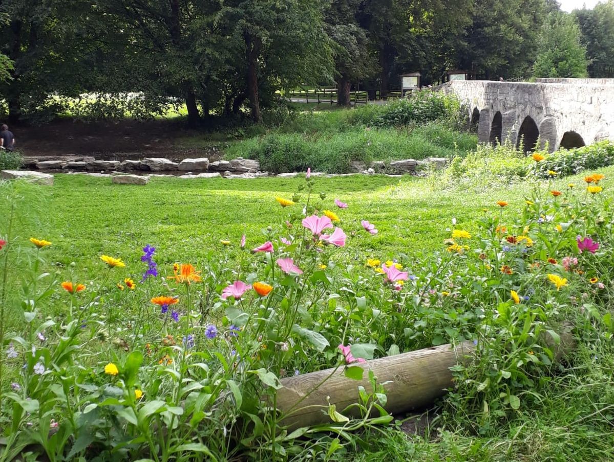 Entlang der Alme in Wewelsburg ist ein Naturerlebnispfad mit Vorbildfunktion entstanden.
