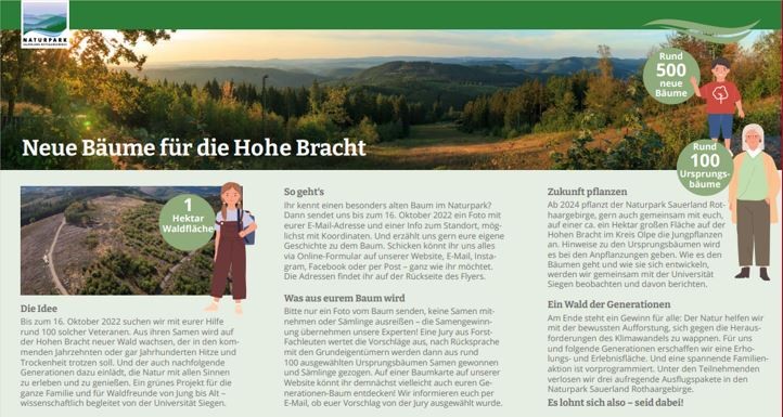 Ausschnitt des Flyers Naturpark Sauerland Rothaargebirge mit einem Aufruf zur Suche robuster, hitzebeständiger Bäume